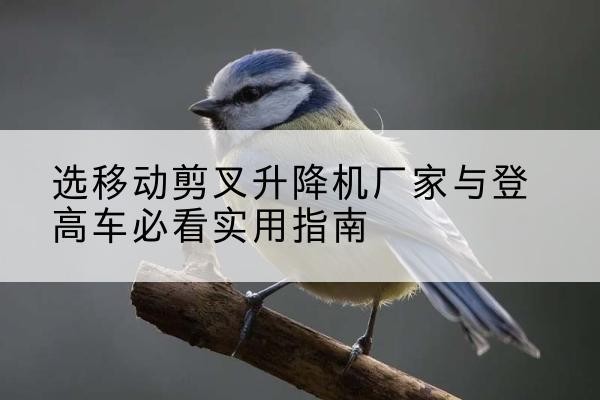 芮城电动升降机厂家-选移动剪叉升降机厂家与登高车必看实用指南