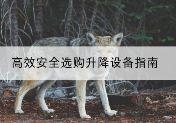 芮城升降货梯厂家推荐-*安全选购升降设备指南